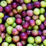 Cerignola Black - Image 2