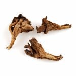 Black Trumpet Mushrooms Dried