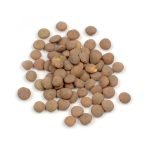 Brown Spanish Pardina Lentils