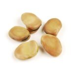 Fava Beans