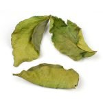 Lime Leaves (Kaffir)