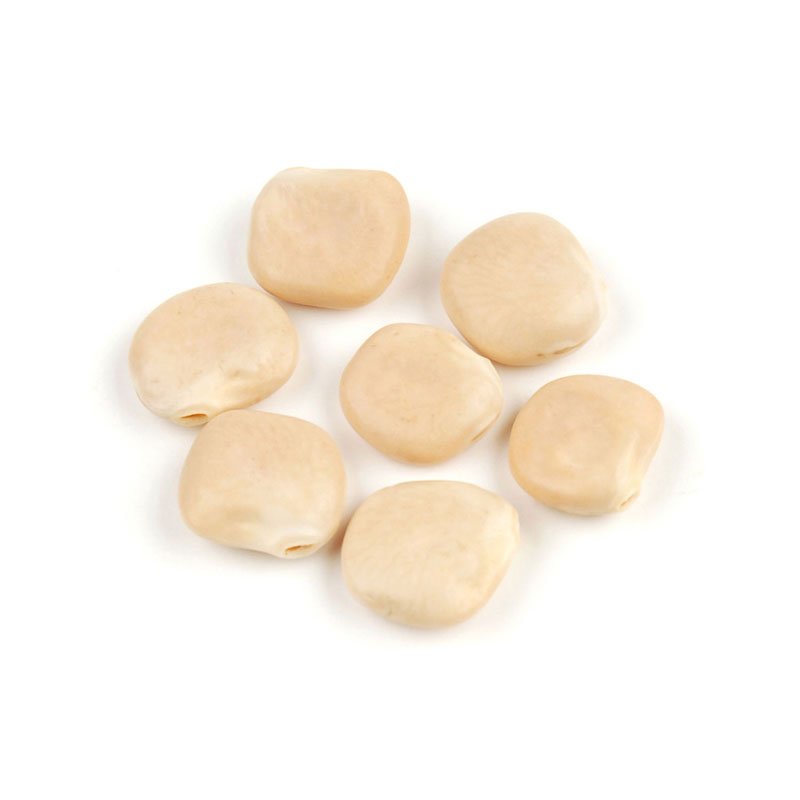 Lupini-Beans.jpg Lupini Beans - Image 1