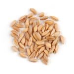Farro Semi-Pearled