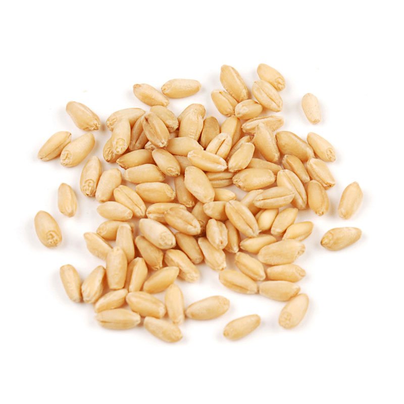 Wheat-Berries-Soft.jpg Wheat Berries Soft - Image 1